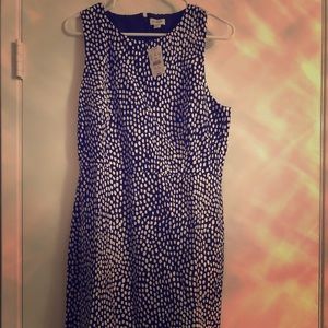 Jcrew  Navy Blue and White Sleeveless Sheath
